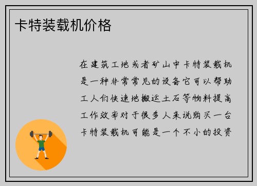 卡特装载机价格