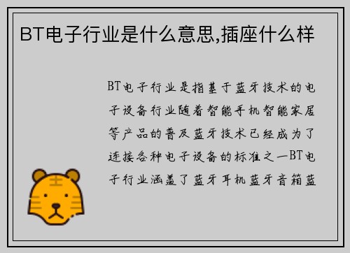 BT电子行业是什么意思,插座什么样